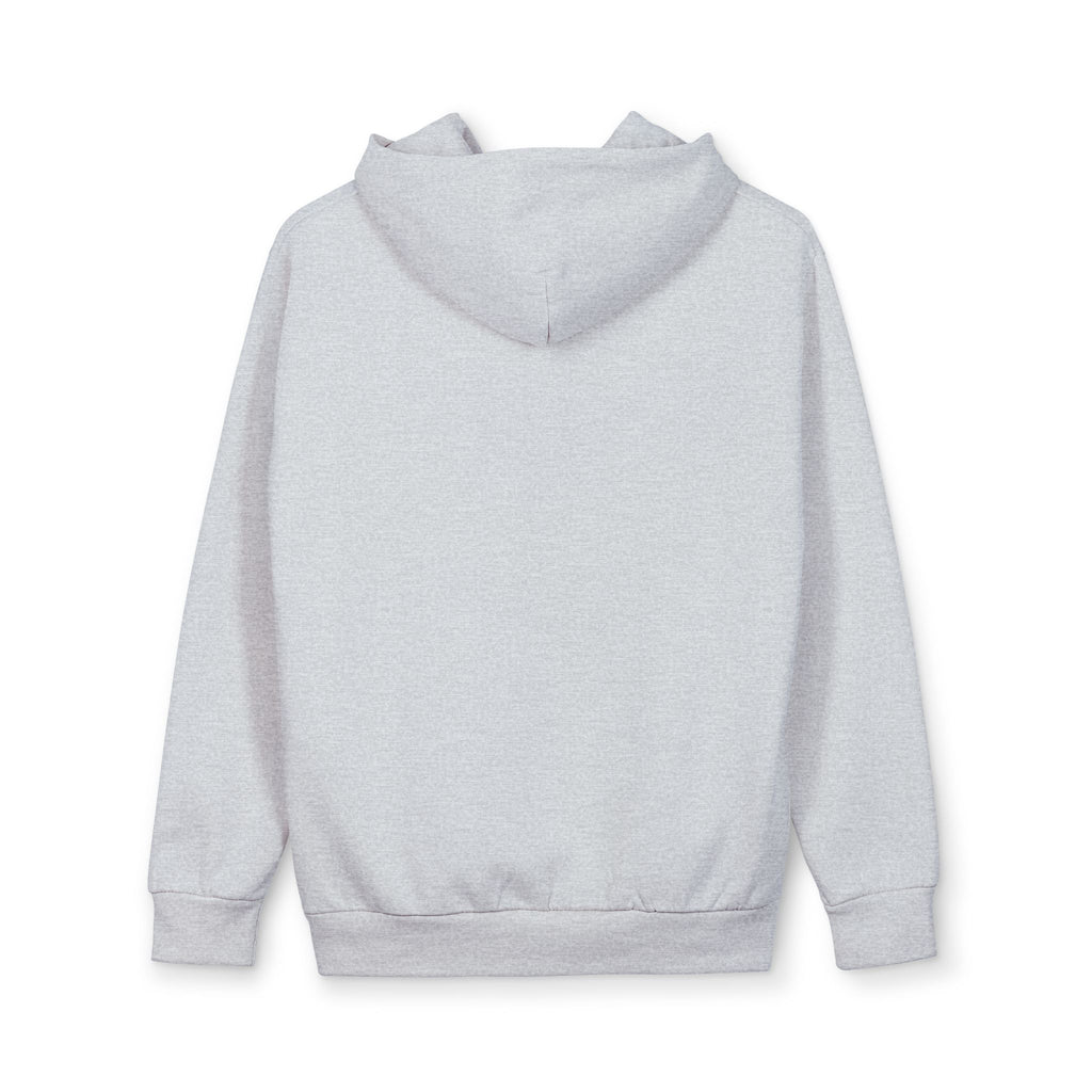 Offline Globe Hoodie — Vintage Distressed Earth Graphic Pullover
