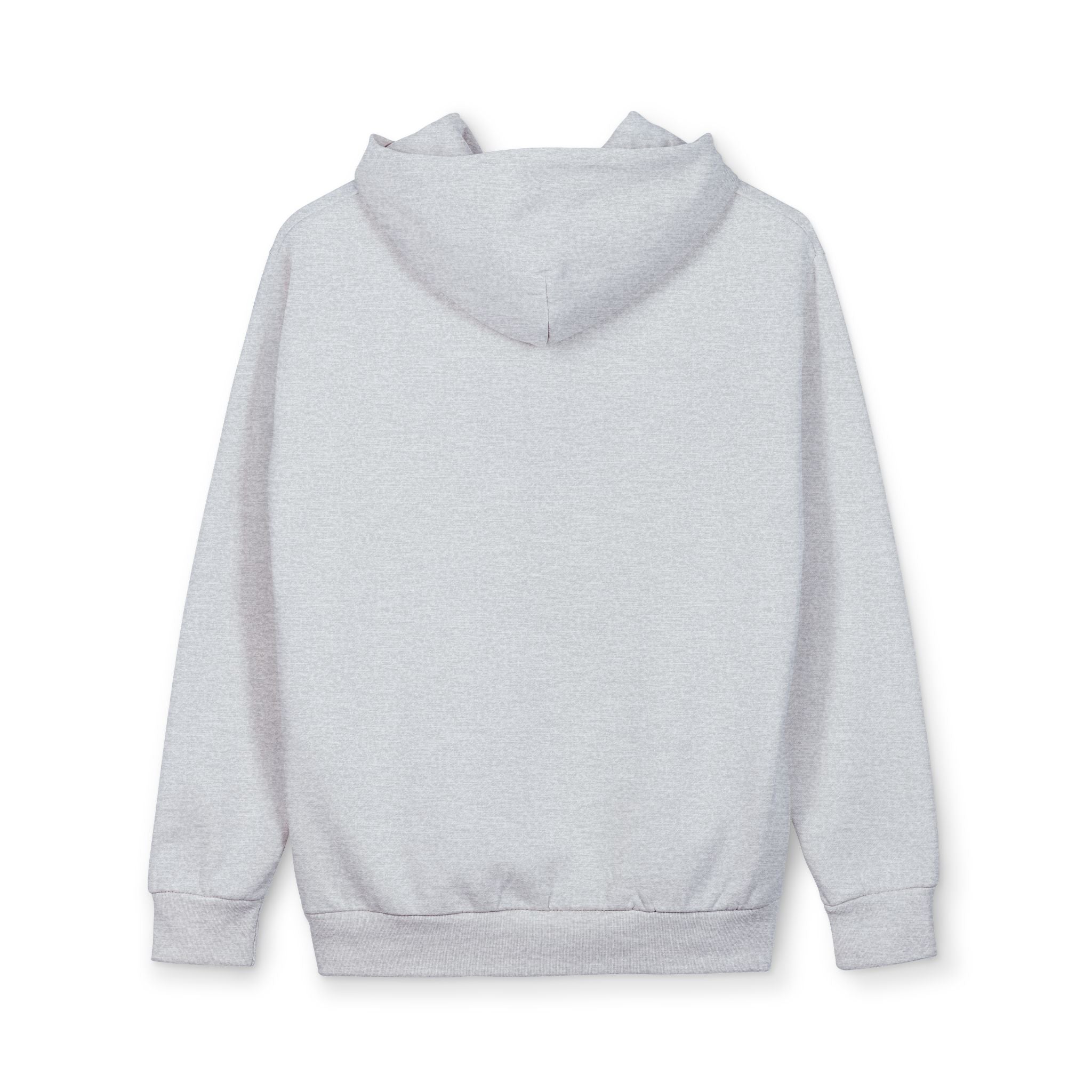 Offline Globe Hoodie — Vintage Distressed Earth Graphic Pullover