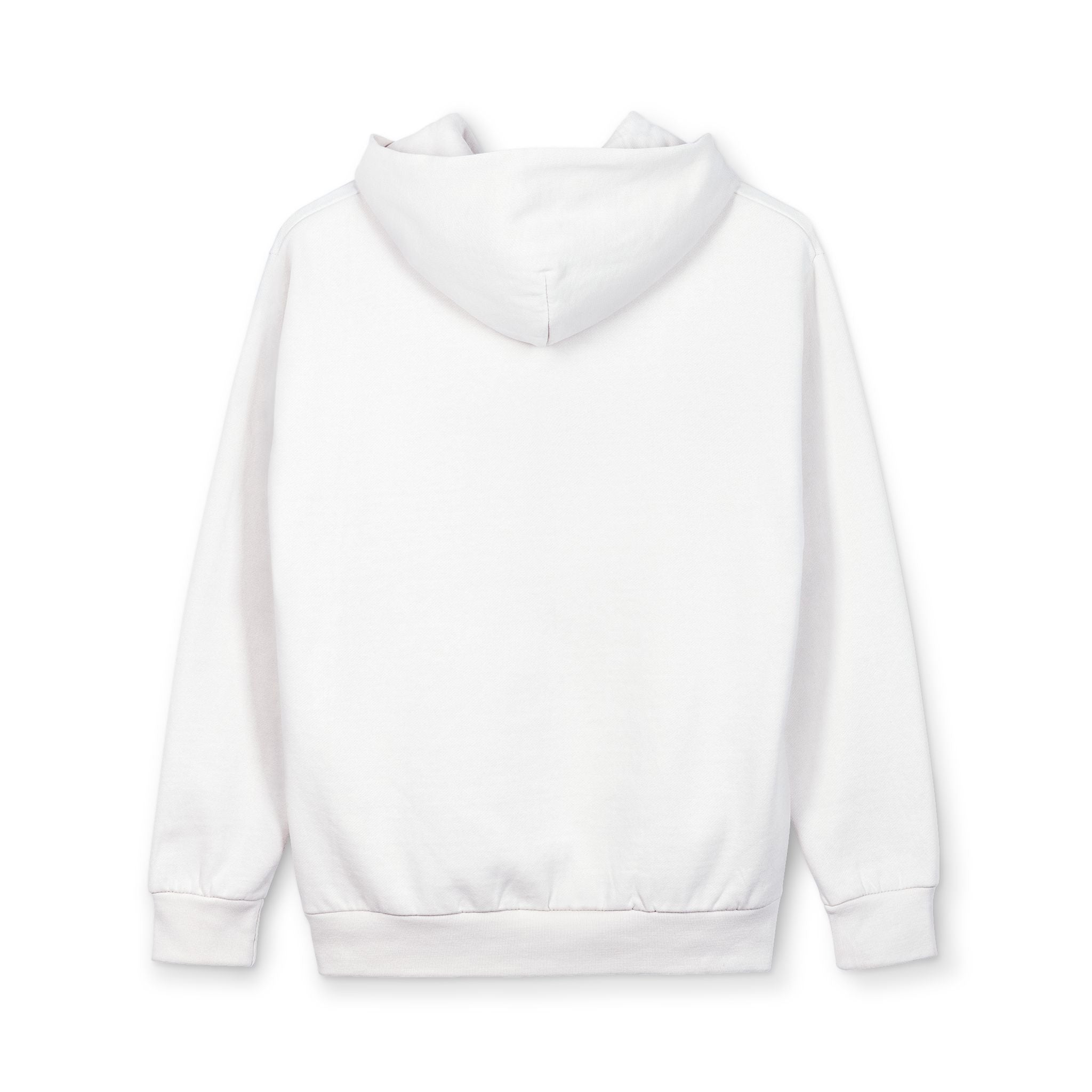 Offline Globe Hoodie — Vintage Distressed Earth Graphic Pullover