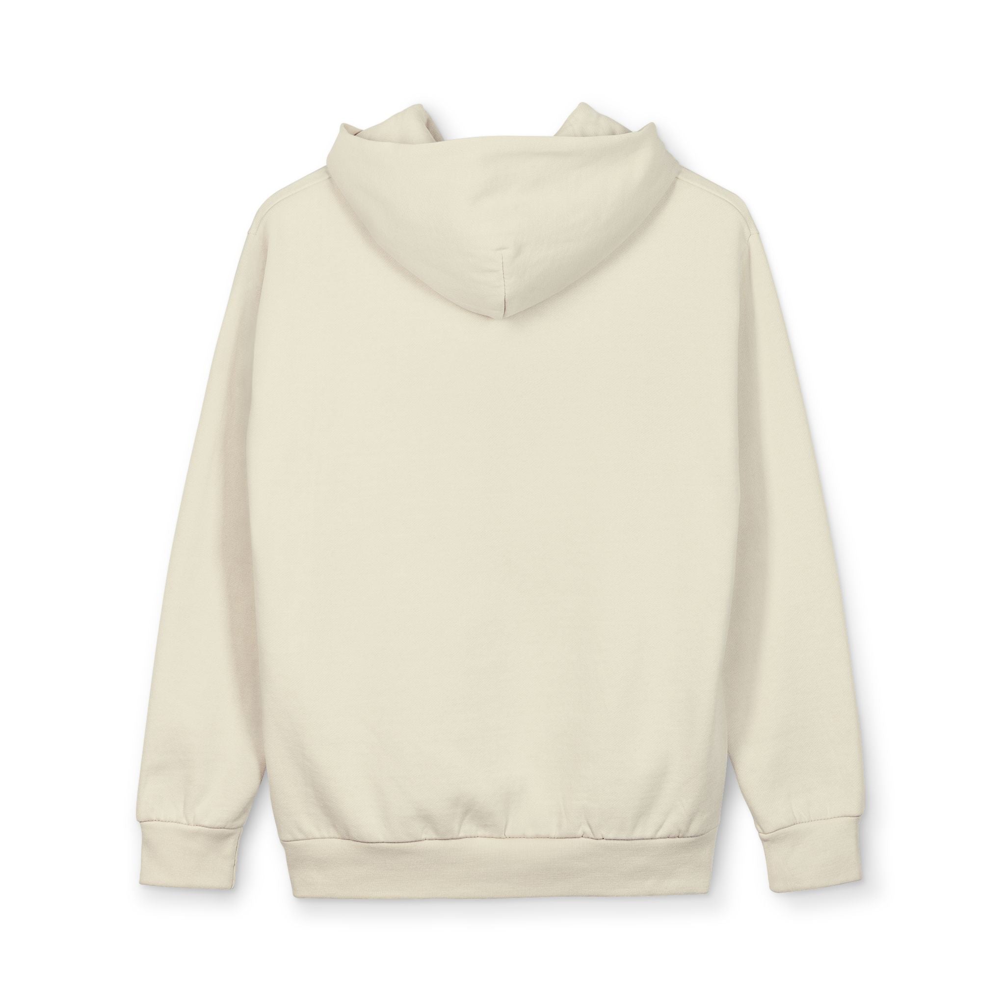 Offline Globe Hoodie — Vintage Distressed Earth Graphic Pullover